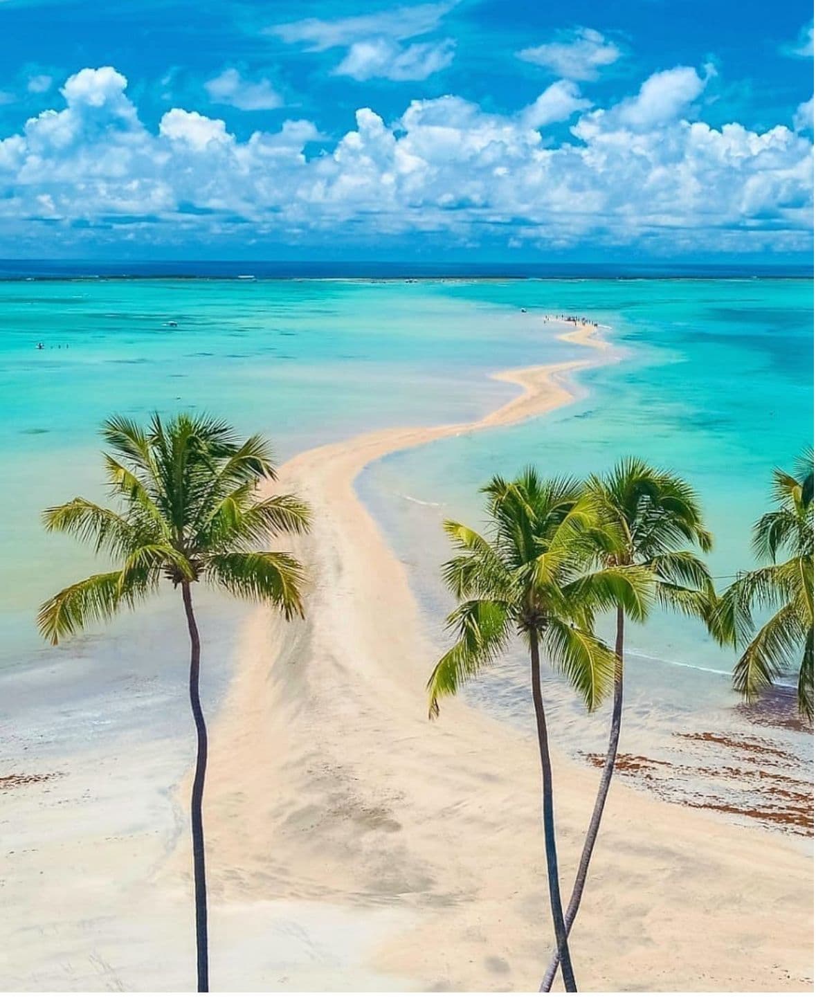 Um passeio em Maragogi